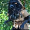 corvo di Dungeons