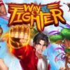 Way of the fighter