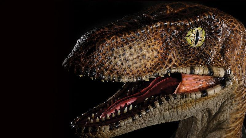 testa di un Velociraptor di Jurassic Park