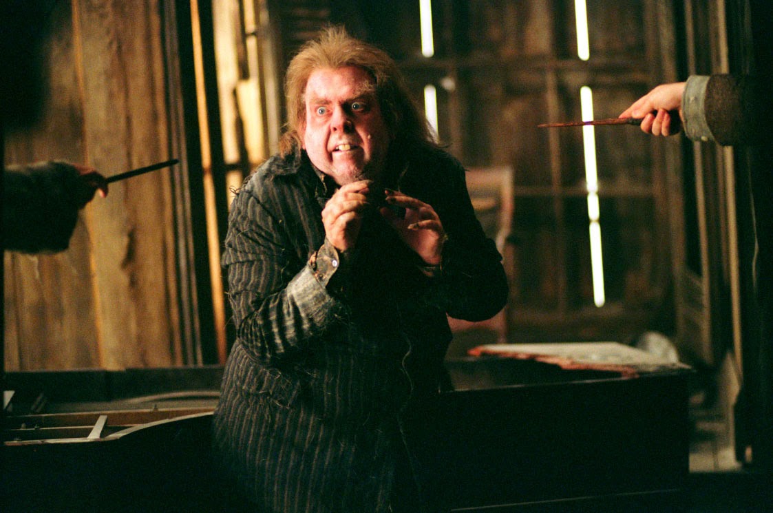 Timothy Spall Peter Minus Harry Potter