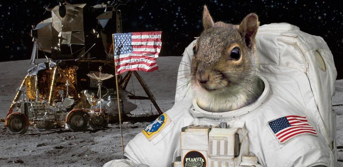 nasa scoiattolo astronauta
