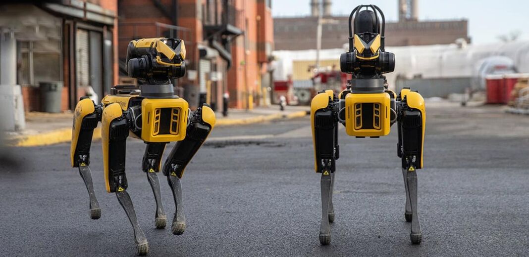 cani robt boston dynamics new york